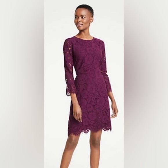 Ann Taylor Dresses & Skirts - Nwt Ann Taylor 16P plum/wine color lace dress retails for $179 open to offers!